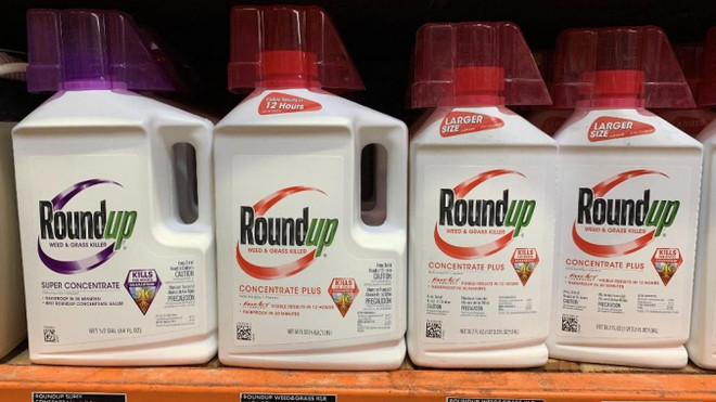 Procès du Roundup : une condamnation de Monsanto confirmée en appel en Californie ảnh 1 Procès du Roundup : une condamnation de Monsanto confirmée en appel en Californie ảnh 1