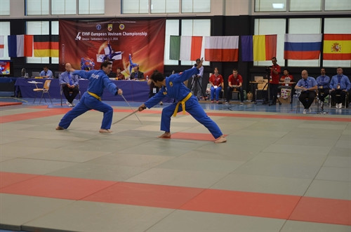 Les championnats d’Europe de Vovinam Viet Vo Dao en Suisse ảnh 1