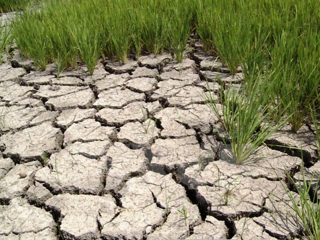 Promouvoir la coopération internationale dans la gestion et l’exploitation des eaux souterraines ảnh 1 Promouvoir la coopération internationale dans la gestion et l’exploitation des eaux souterraines ảnh 1