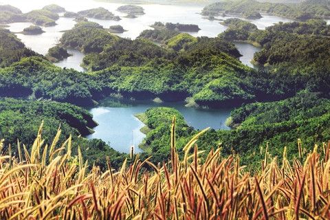 Une baie de Ha Long au Tây Nguyên ảnh 1 Une baie de Ha Long au Tây Nguyên ảnh 1