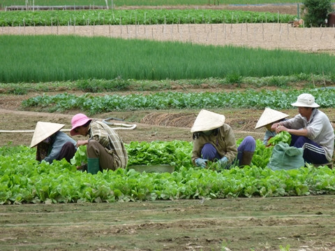 La coopération scientifique vietnamo-française se renforce ảnh 2