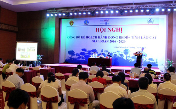 Lao Cai publie un programme d’action REDD+ ảnh 1 Lao Cai publie un programme d’action REDD+ ảnh 1