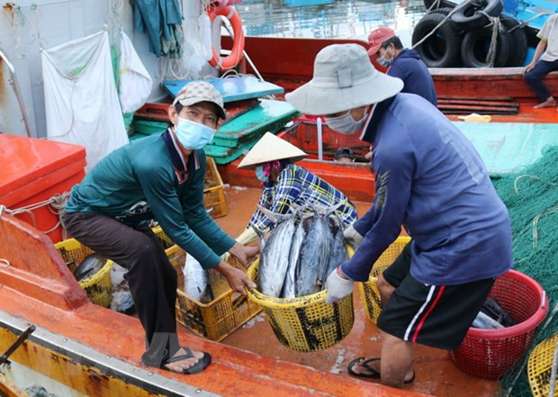 Mobilisation des ressources pour supprimer le "carton jaune" sur la pêche INN ảnh 1 Mobilisation des ressources pour supprimer le "carton jaune" sur la pêche INN ảnh 1