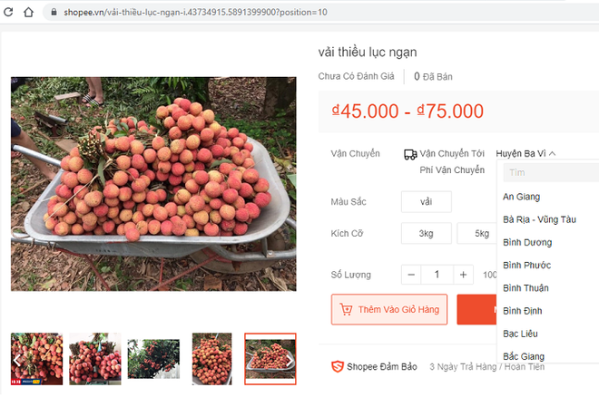 Bac Giang accélère la transformation et le développement de l'économie numérique ảnh 1 Bac Giang accélère la transformation et le développement de l'économie numérique ảnh 1