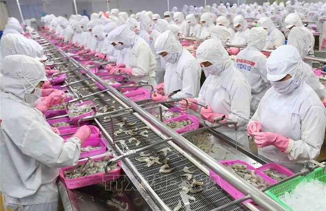 Les exportations de produits aquatiques en hausse de 14 % en cinq mois ảnh 1 Les exportations de produits aquatiques en hausse de 14 % en cinq mois ảnh 1