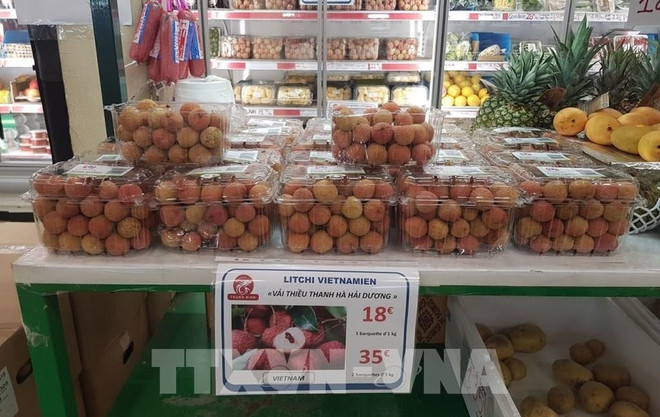 Le litchi vietnamien vendu en Europe grâce au commerce électronique ảnh 1 Le litchi vietnamien vendu en Europe grâce au commerce électronique ảnh 1