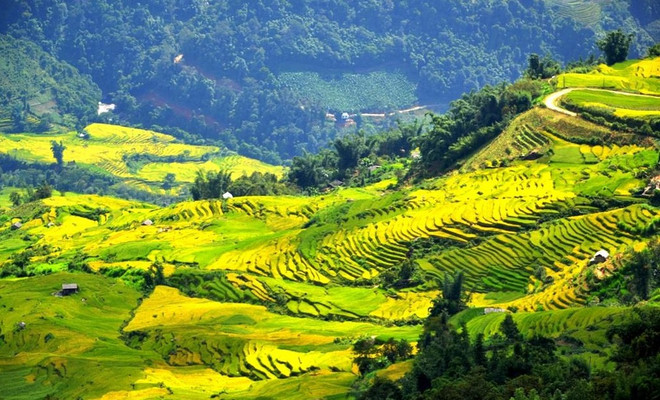 Ngai Ngau Thuong, le plus haut village du Vietnam ảnh 1 Ngai Ngau Thuong, le plus haut village du Vietnam ảnh 1