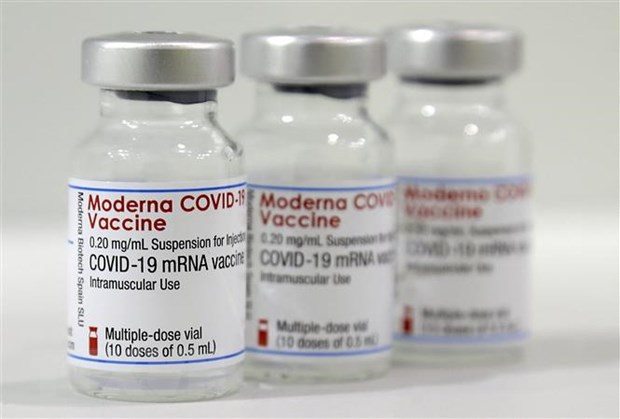 COVID-19: le Vietnam approuve d'urgence le vaccin Moderna ảnh 1 COVID-19: le Vietnam approuve d'urgence le vaccin Moderna ảnh 1