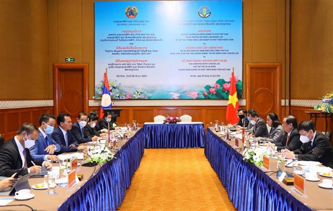 Vietnam-Laos renforcent leur coopération dans le développement agro-sylvicole ảnh 1 Vietnam-Laos renforcent leur coopération dans le développement agro-sylvicole ảnh 1