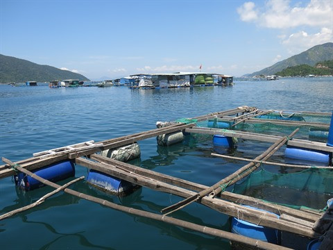 Un plan de développement pour réaliser le fort potentiel du pays ảnh 1 Un plan de développement pour réaliser le fort potentiel du pays ảnh 1