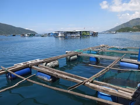 Un plan de développement pour réaliser le fort potentiel du pays ảnh 1 Un plan de développement pour réaliser le fort potentiel du pays ảnh 1