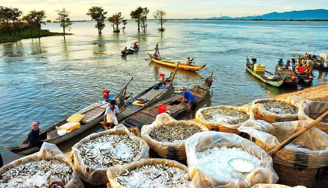 COVID-19: le secteur touristique du delta du Mékong cherche à surmonter ses difficultés ảnh 1 COVID-19: le secteur touristique du delta du Mékong cherche à surmonter ses difficultés ảnh 1