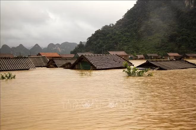 Le Vietnam cherche à limiter les pertes causées par les catastrophes naturelles ảnh 1