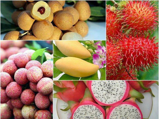 Exportations de fruits et légumes: de belles perspectives cette année grâce aux ALE ảnh 1 Exportations de fruits et légumes: de belles perspectives cette année grâce aux ALE ảnh 1