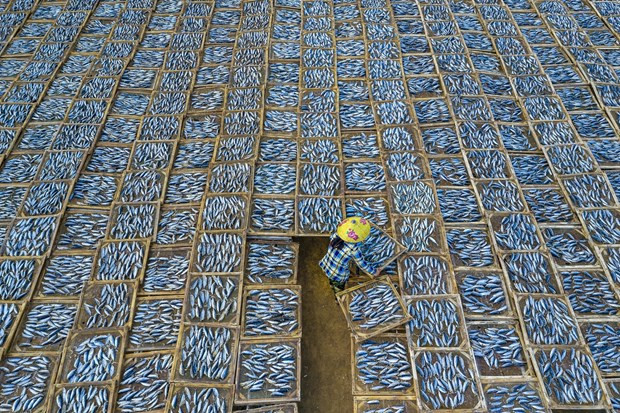 Une photographe vietnamienne remporte deux prix aux Tokyo International Foto Awards ảnh 1 Une photographe vietnamienne remporte deux prix aux Tokyo International Foto Awards ảnh 1