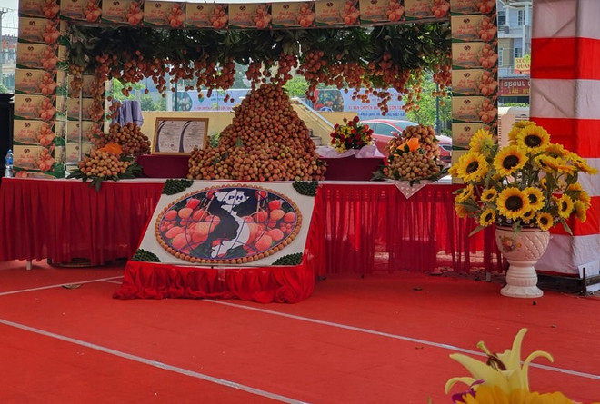 L'exportation précoce du litchi Tan Yen vers le marché japonais ảnh 1