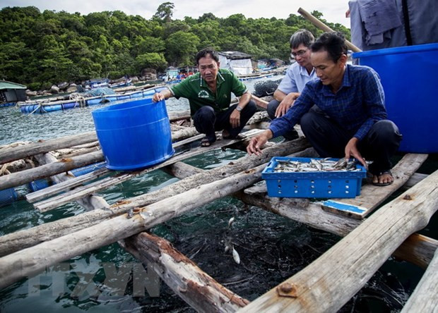 Kien Giang est déterminée à supprimer le carton jaune sur la pêche INN ảnh 2 Kien Giang est déterminée à supprimer le carton jaune sur la pêche INN ảnh 2