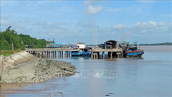 Lutte contre la pêche INN: Ben Tre resserre le traitement des bateaux coupables d'infractions ảnh 1 Lutte contre la pêche INN: Ben Tre resserre le traitement des bateaux coupables d'infractions ảnh 1