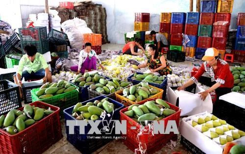 Le Vietnam augmente ses exportations de produits industriels et agricoles vers la Chine ảnh 1 Le Vietnam augmente ses exportations de produits industriels et agricoles vers la Chine ảnh 1