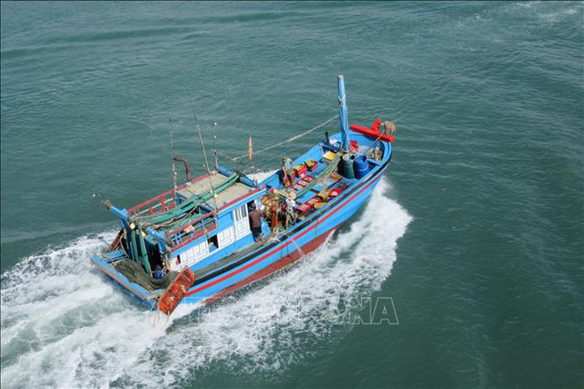 Renforcement du développement durable de l'économie maritime du Vietnam ảnh 2 Renforcement du développement durable de l'économie maritime du Vietnam ảnh 2