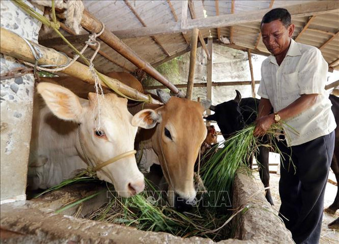 Tra Vinh dépensera 64,2 millions de dollars pour améliorer la vie des minorités ethniques ảnh 1 Tra Vinh dépensera 64,2 millions de dollars pour améliorer la vie des minorités ethniques ảnh 1