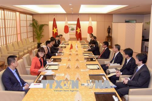 Le vice-PM Pham Binh Minh s'entretient avec le ministre japonais des AE ảnh 1