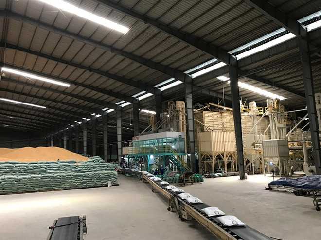 Le Vietnam exportera 50.000 tonnes de riz Japonica en République de Corée ảnh 1