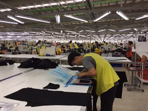 Long An : Perspectives d’investissement dans la zone économique frontalière de Binh Hiêp ảnh 3