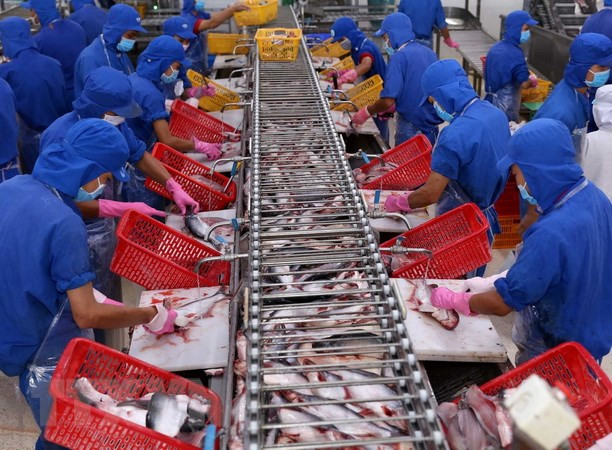 Hausse de 10% des exportations des produits aquatiques ảnh 1 Hausse de 10% des exportations des produits aquatiques ảnh 1