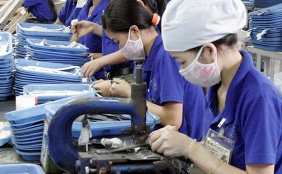 Plus de 11.000 entreprises créées en mai ảnh 1 Plus de 11.000 entreprises créées en mai ảnh 1