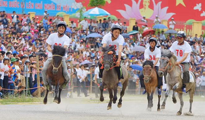 Rendez-vous en juin sur le plateau de Bac Ha (Lao Cai) ảnh 1
