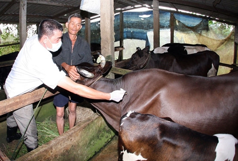 Renforcer la lutte contre les zoonoses ảnh 1 Renforcer la lutte contre les zoonoses ảnh 1