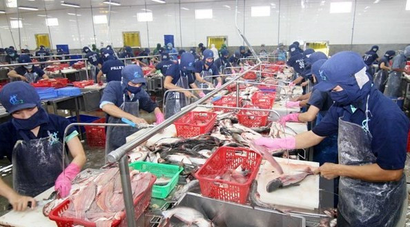 Les produits aquatiques du Vietnam bien appréciés sur le marché mondial ảnh 1 Les produits aquatiques du Vietnam bien appréciés sur le marché mondial ảnh 1