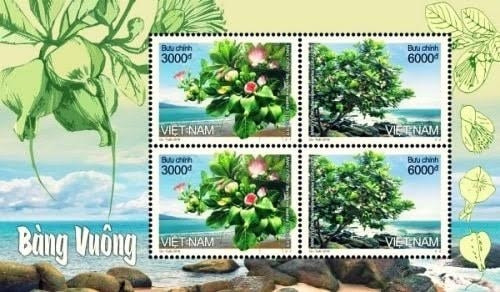 Emission d’un ensemble de timbres sur un arbre emblématique de Truong Sa ảnh 1