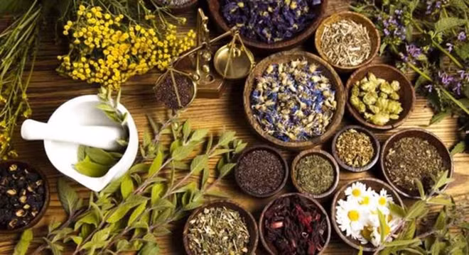 Le Vietnam veut se renforcer sur le marché des herbes médicinales ảnh 1