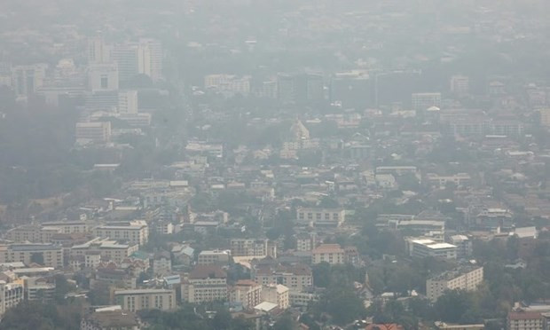 Thaïlande : Chiang Mai souffre d'une grave pollution aux poussières fines ảnh 1 Thaïlande : Chiang Mai souffre d'une grave pollution aux poussières fines ảnh 1
