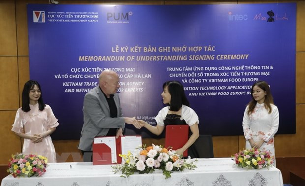 Vietnam et Pays-Bas promeuvent les exportations dans l'environnement numérique ảnh 1 Vietnam et Pays-Bas promeuvent les exportations dans l'environnement numérique ảnh 1