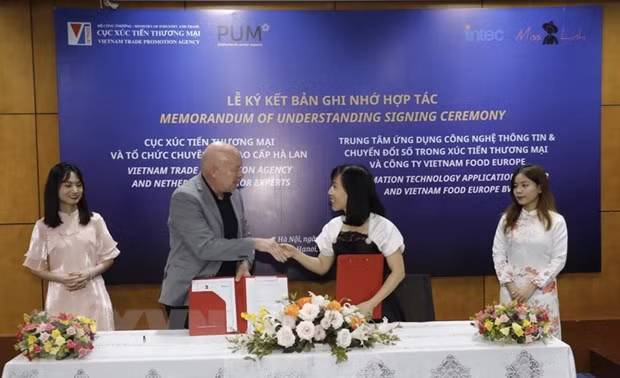 Vietnam et Pays-Bas promeuvent les exportations dans l'environnement numérique ảnh 1