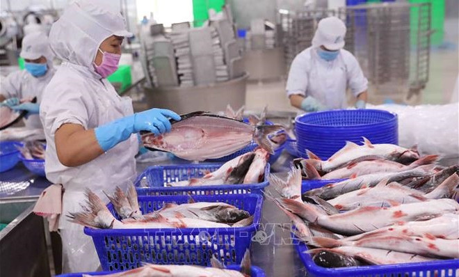 Les exportations de produits aquatiques ont atteint 1,85 milliard de dollars au premier trimestre ảnh 1