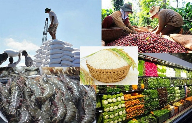 Le Vietnam vise 30 milliards de dollars d’exportations alimentaires par an ảnh 1 Le Vietnam vise 30 milliards de dollars d’exportations alimentaires par an ảnh 1