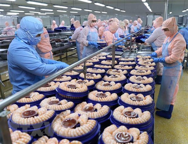 Les exportations de produits aquatiques ont atteint 1,85 milliard de dollars au premier trimestre ảnh 2