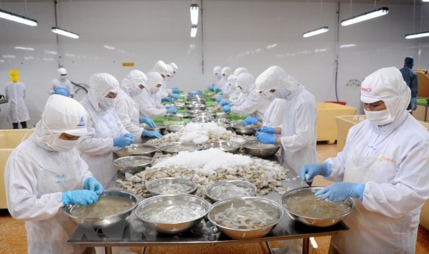 Ca Mau vise 1,73 milliard de dollars de revenus d'exportation d'ici 2030 ảnh 1