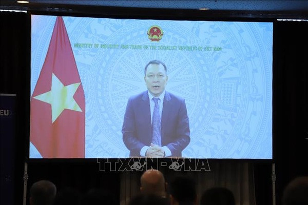 L'Allemagne est prête à soutenir le Vietnam dans la transition énergétique ảnh 2 L'Allemagne est prête à soutenir le Vietnam dans la transition énergétique ảnh 2