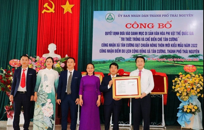 Le savoir sur la culture du thé de Tân Cuong classé au patrimoine national ảnh 1 Le savoir sur la culture du thé de Tân Cuong classé au patrimoine national ảnh 1