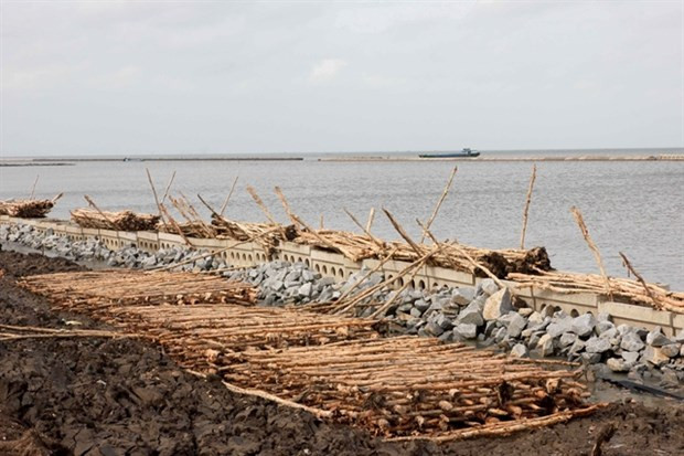 Cà Mau dépensera 827 millions de dollars dans la résilience climatique ảnh 1 Cà Mau dépensera 827 millions de dollars dans la résilience climatique ảnh 1