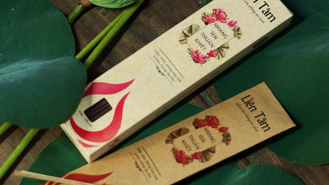 À Dông Thap Muoi, le lotus dans tous ses états ảnh 4 À Dông Thap Muoi, le lotus dans tous ses états ảnh 4