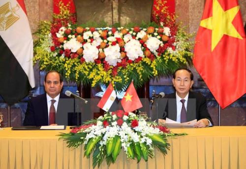 Les entreprises vietnamiennes doivent saisir des opportunités pour pénétrer le marché africain ảnh 1 Les entreprises vietnamiennes doivent saisir des opportunités pour pénétrer le marché africain ảnh 1