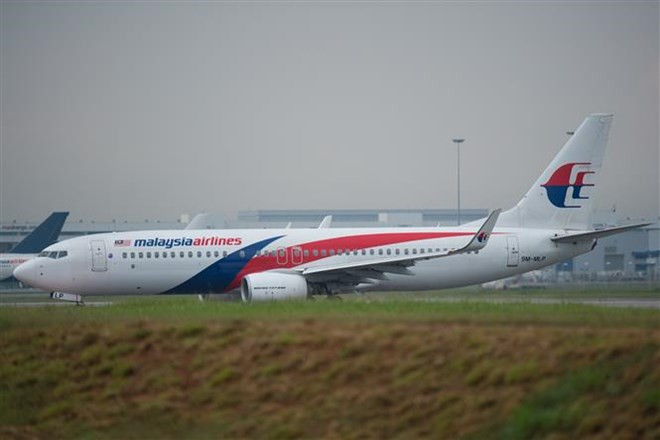 Le destin de Malaysia Airlines sera bientôt déterminé ảnh 1