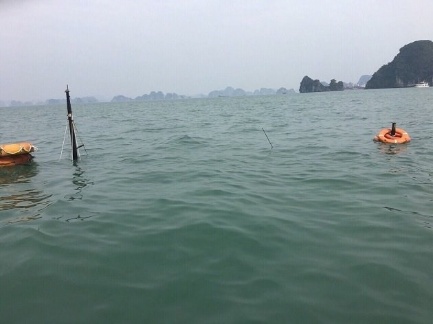 Un bateau coule à Quang Ninh, 31 touristes chinois sauvés ảnh 1 Un bateau coule à Quang Ninh, 31 touristes chinois sauvés ảnh 1