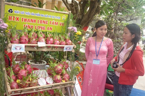 Long An s’oriente vers le développement d’une agriculture durable ảnh 2 Long An s’oriente vers le développement d’une agriculture durable ảnh 2